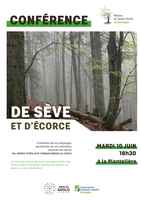 affiche conference foret