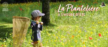 planteliere ete`
