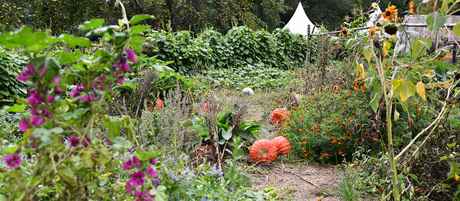 bandeau jardiner au naturel