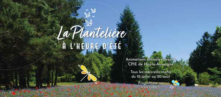 BANDEAU PLANTELIER ETE 2023