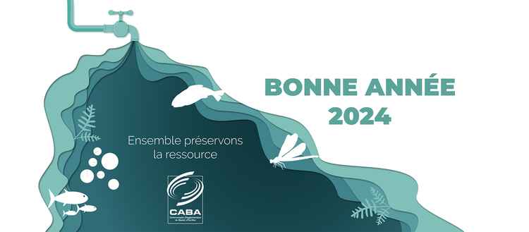 bandeau site internet voeux 2024