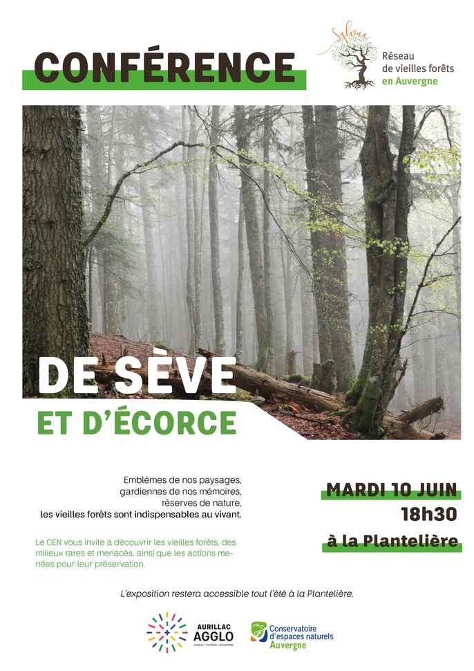 affiche conference foret