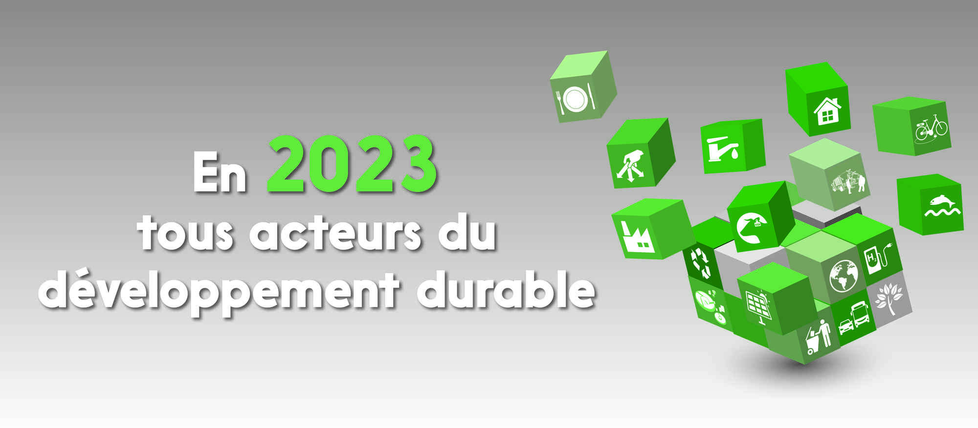 BANDEAU_WEB_VOEUX_SANS_LOGO_CABA