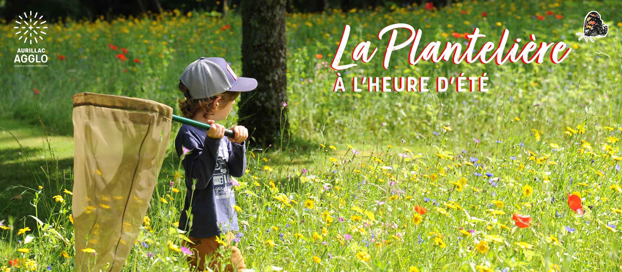 planteliere ete`
