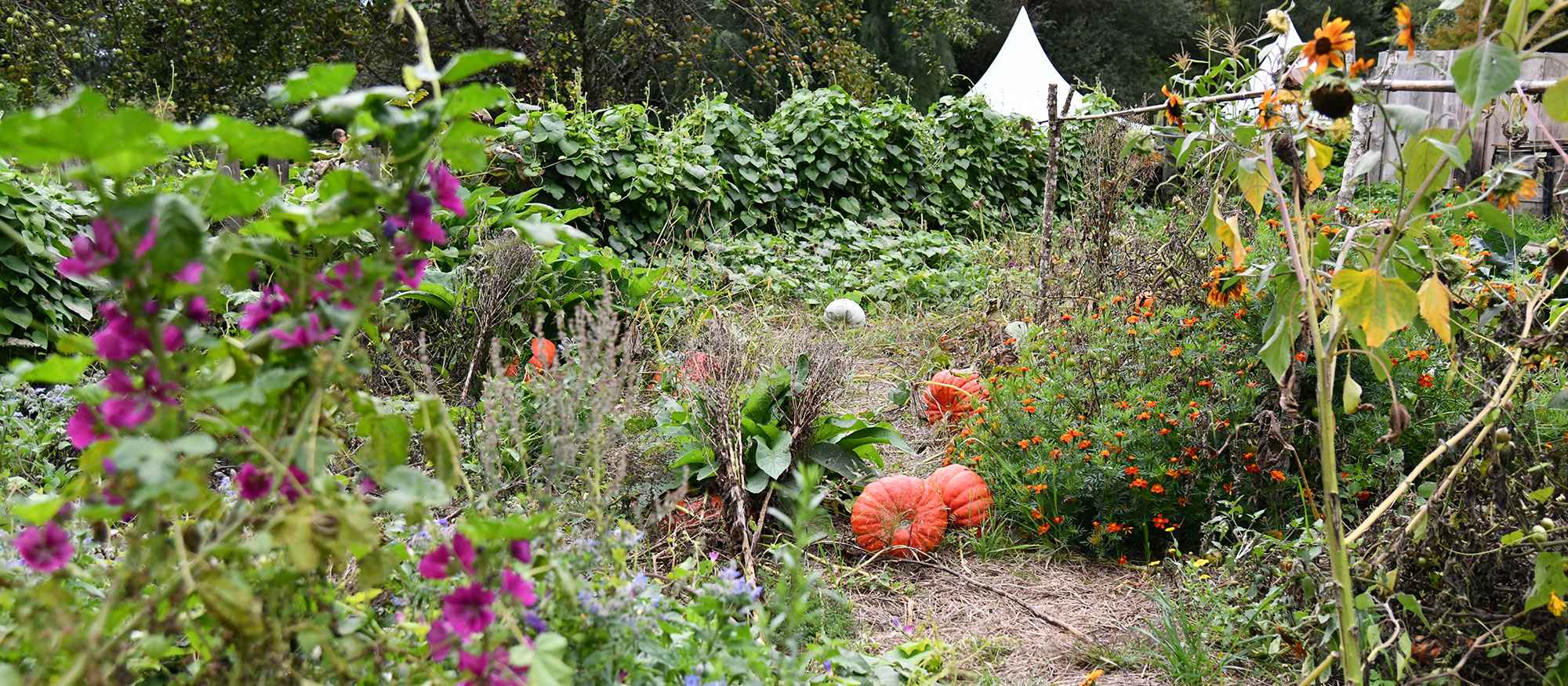 bandeau jardiner au naturel